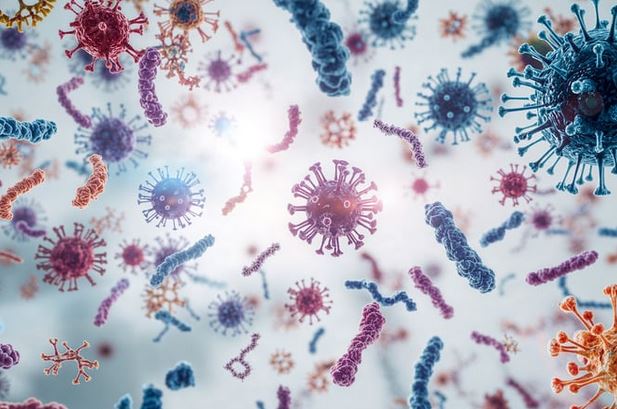 Genetic Influences in Colorectal Cancer: Improving Patient Outcomes